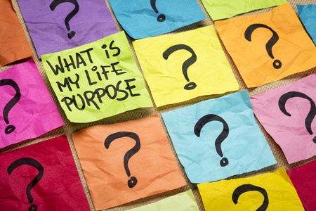 what's your life purpose