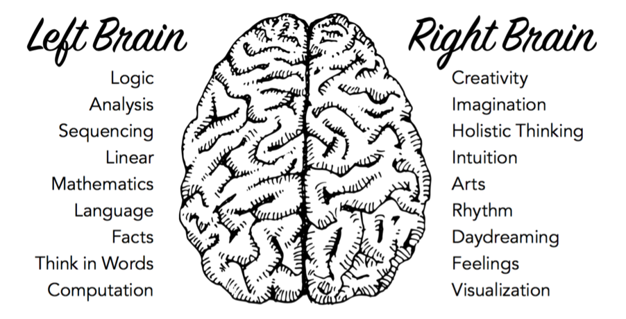 use your whole brain