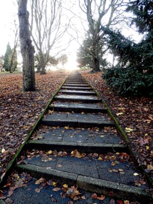 Your Past is a Source of Inspiration
